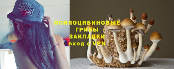 прущая мука Инсар