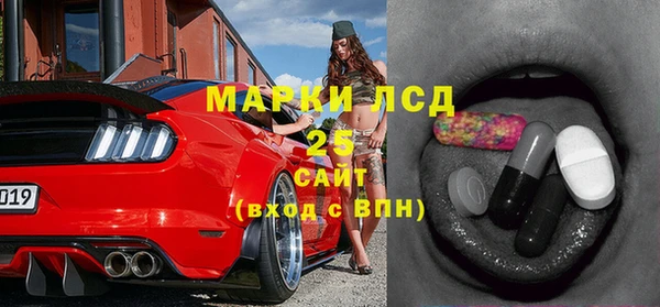 прущая мука Инсар