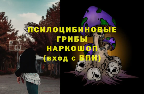 эйфоретик Инта