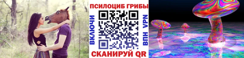 omg маркетплейс Кедровый Галлюциногенные грибы мицелий